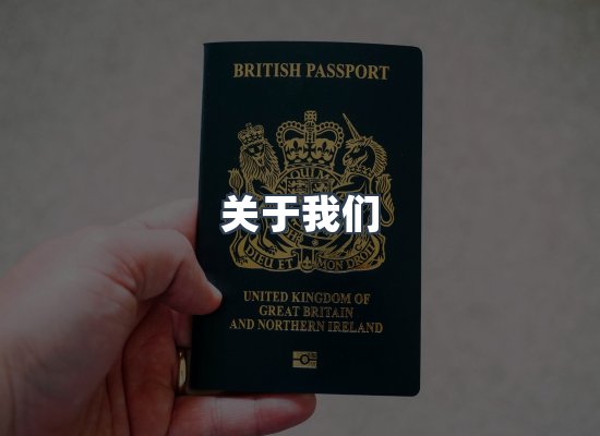 关于我们
